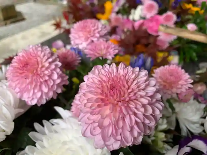 滑川神社 - 仕事と子どもの守り神の手水舎