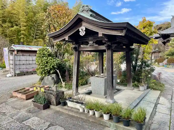 専念寺(神奈川県)