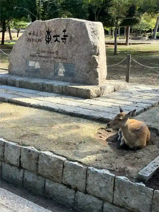 東大寺の{uncategorized: "未分類", other: "その他", undefined: "問題あり", building: "その他建物", grave: "お墓", sacred_gate: "鳥居", guardian: "狛犬", statue: "像", buddha: "仏像", history: "歴史", nature: "自然", garden: "庭園", animal: "動物", pagoda: "塔", temizu: "手水舎", mountain_gate: "山門・神門", sanctuary: "本殿・本堂", subordinate: "末社・摂社", art: "芸術", scenery: "景色", jizo: "地蔵", ema: "絵馬", goshuin: "御朱印", omikuji: "おみくじ", items: "授与品その他", amulet: "お守り", goshuincho: "御朱印帳", eats: "食事", festival: "お祭り", votive_dance: "神楽", shichigosan: "七五三参", wedding: "結婚式", experience: "体験その他", initially: "初詣", around: "周辺", anti_infection: "感染症対策"}