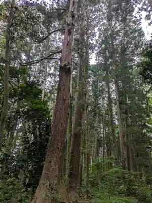 瑞鳳殿(宮城県)