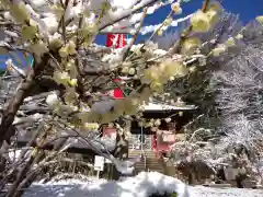 清水寺(栃木県)