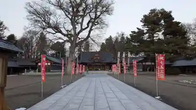 北海道護國神社の七五三参