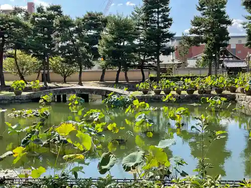 相国寺（相国承天禅寺）の庭園