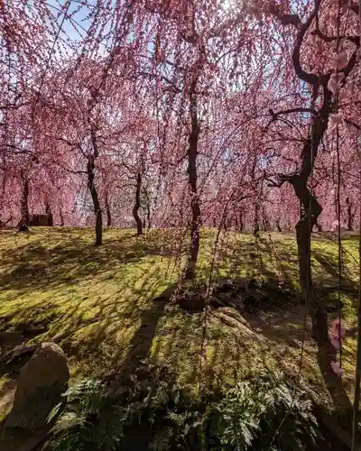 城南宮(京都府)