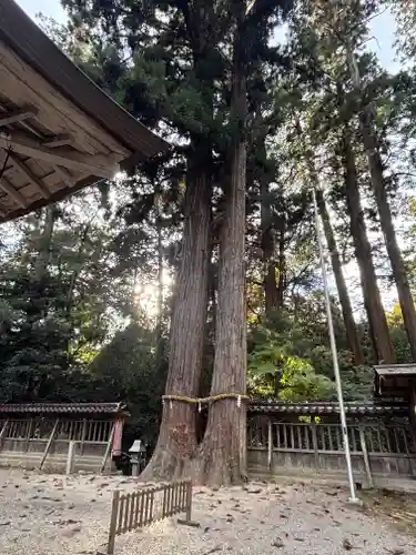 伊和神社(兵庫県)