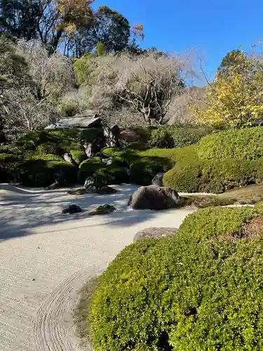明月院(神奈川県)