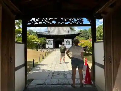 高台寺(高台寿聖禅寺・高臺寺)の本殿・本堂