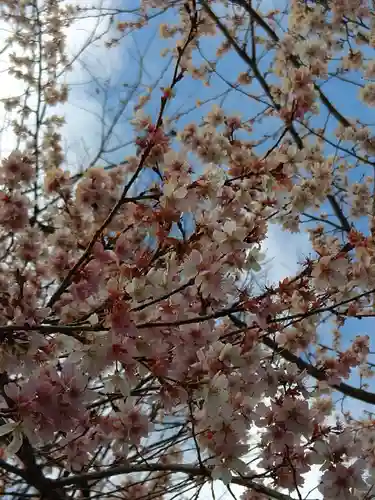 雲光院(東京都)