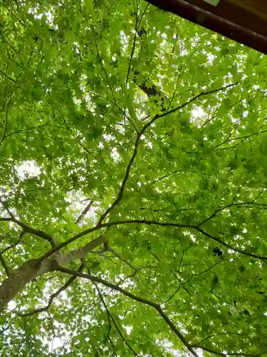 上青谷観音(岩手県)