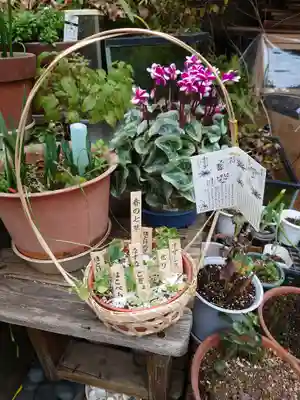 榮久山大法寺(東京都)