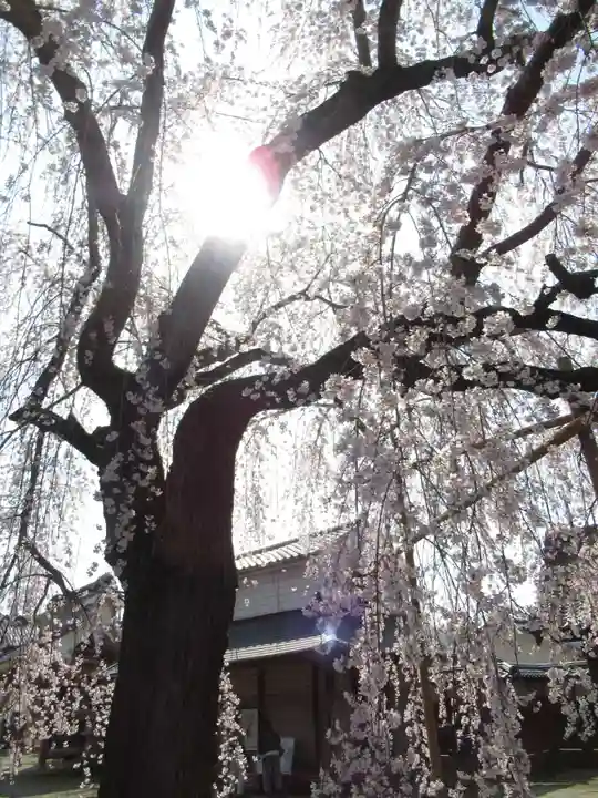 慶龍寺(茨城県)