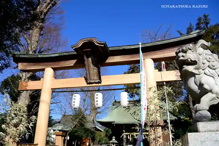 出雲大社相模分祠の鳥居