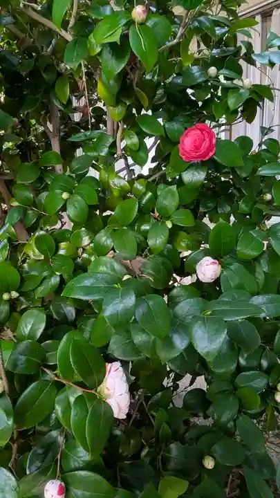 向日神社(京都府)