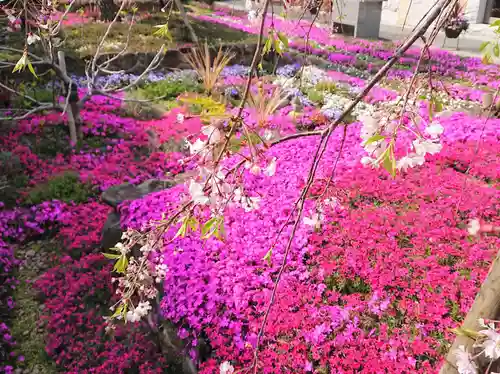 寿量山　速成寺の庭園