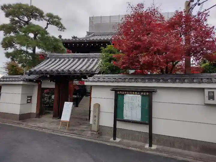 妙玄寺の山門・神門