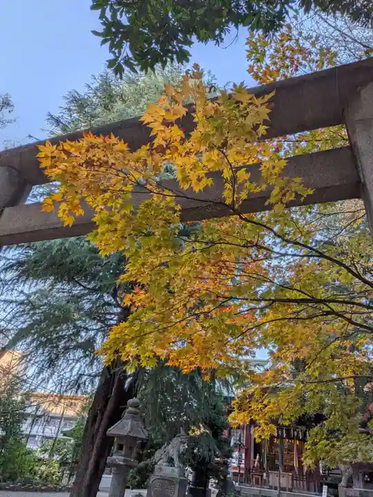 青山熊野神社(東京都)