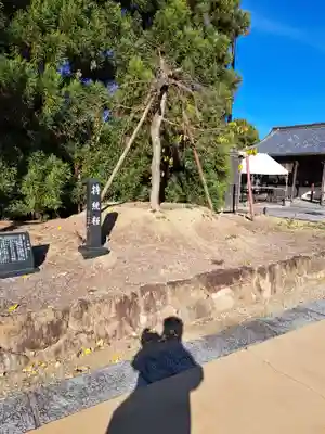 薬師寺(奈良県)