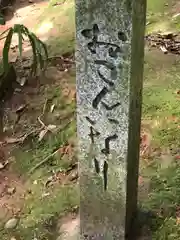 柴神社(福井県)