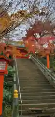 穴八幡宮の自然