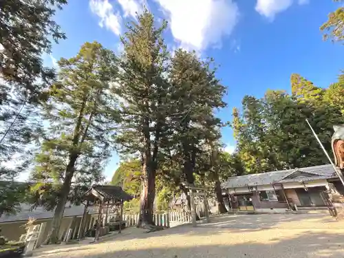 田守神社の建物その他