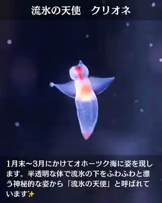 宝光寺(北海道)