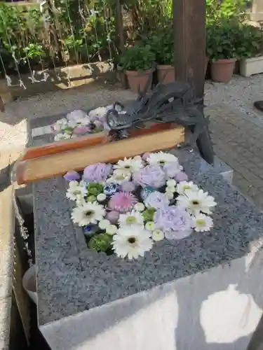 川越八幡宮の手水舎