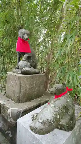 白笹稲荷神社の狛犬