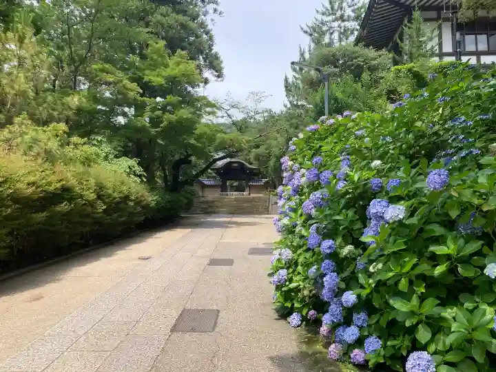 円覚寺(神奈川県)