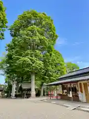 瀧宮神社の自然