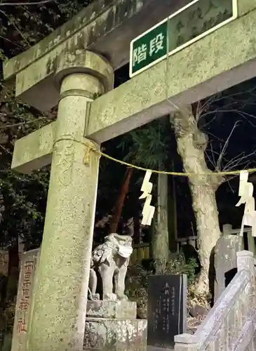 伊与久雷電神社の狛犬