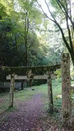 血洗瀧神社の鳥居