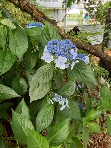 川前観音堂(山形県)