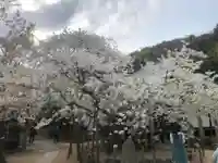 大宝寺の庭園