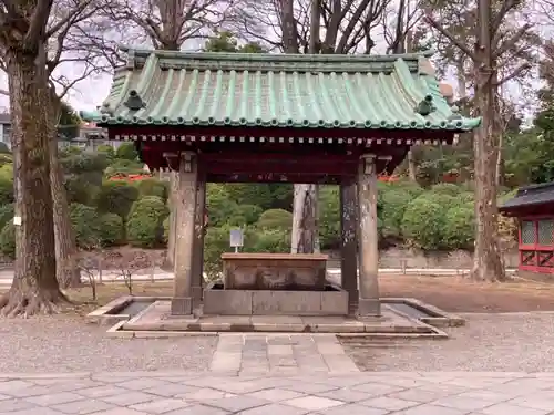 根津神社の手水舎