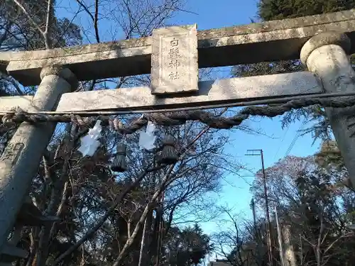 白髭神社の鳥居