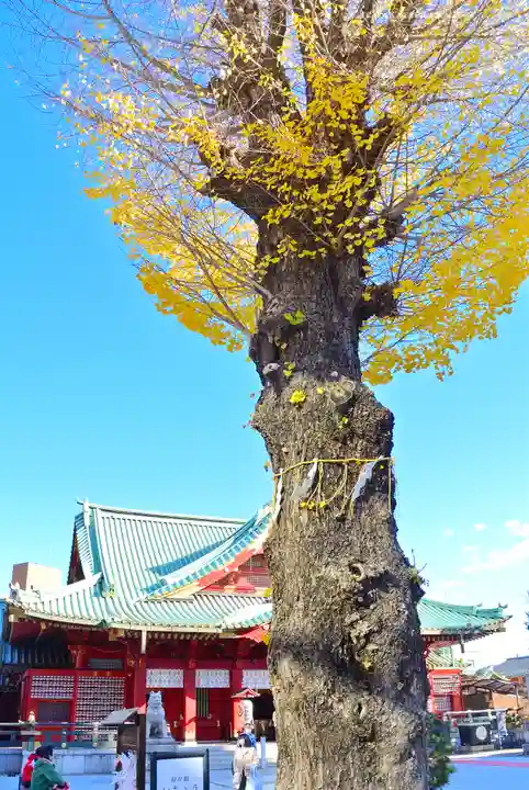 神田神社(神田明神)(東京都)