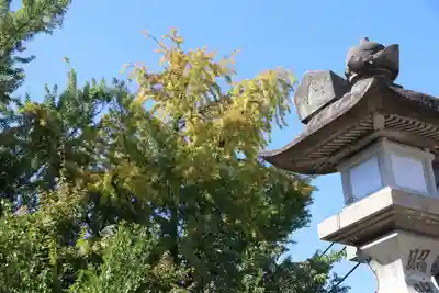神炊館神社 ⁂奥州須賀川総鎮守⁂(福島県)