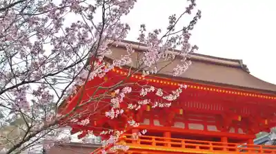 賀茂別雷神社(上賀茂神社)の本殿・本堂