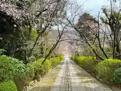 宗忠神社(京都府)