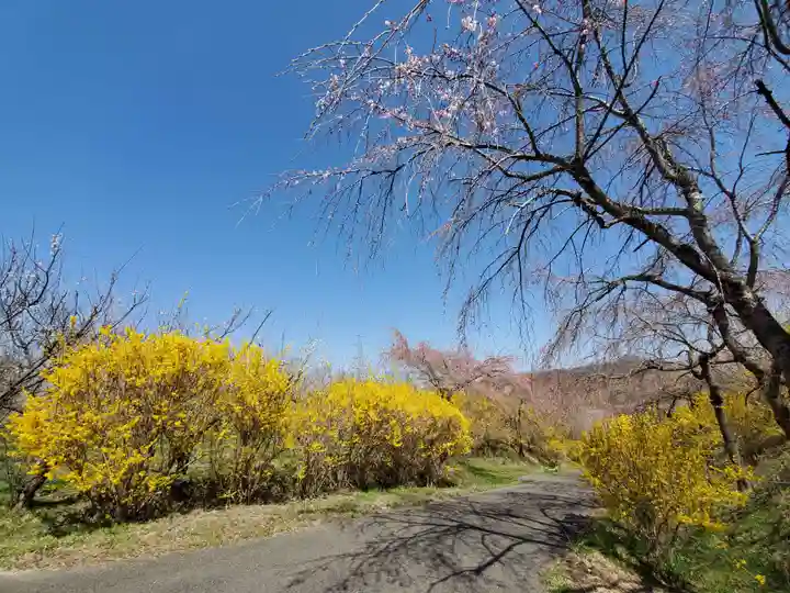 日枝神社の自然
