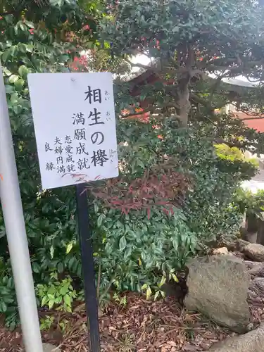 比々多神社の自然