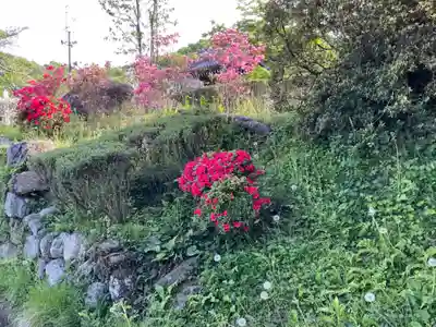 大光普照寺(埼玉県)