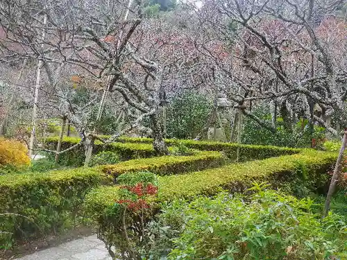 瑞泉寺の庭園