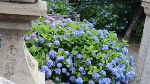 柳谷観音　楊谷寺(京都府)