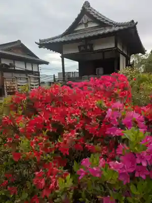境香取神社(茨城県)