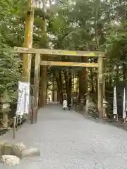 椿大神社(三重県)