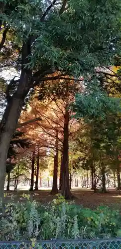 徳島稲荷神社(埼玉県)