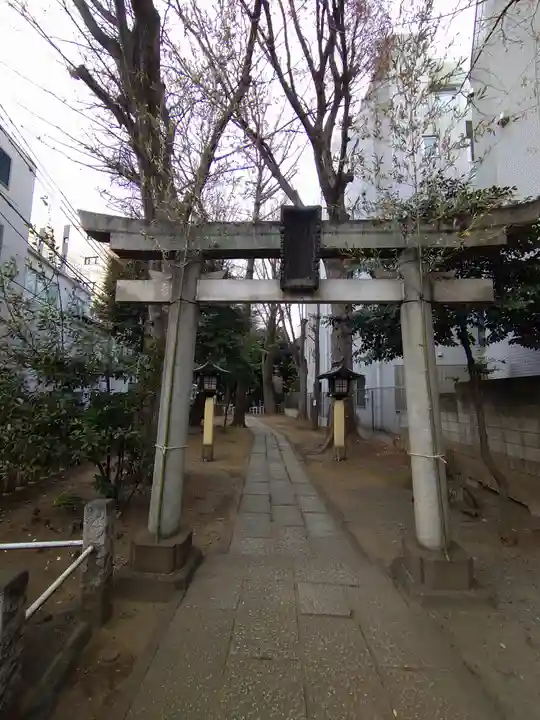 荻窪白山神社の鳥居