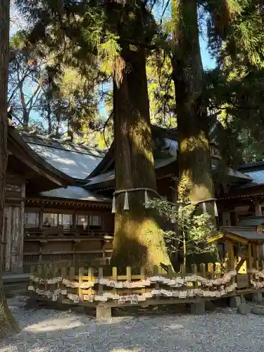高千穂神社の{uncategorized: "未分類", other: "その他", undefined: "問題あり", building: "その他建物", grave: "お墓", sacred_gate: "鳥居", guardian: "狛犬", statue: "像", buddha: "仏像", history: "歴史", nature: "自然", garden: "庭園", animal: "動物", pagoda: "塔", temizu: "手水舎", mountain_gate: "山門・神門", sanctuary: "本殿・本堂", subordinate: "末社・摂社", art: "芸術", scenery: "景色", jizo: "地蔵", ema: "絵馬", goshuin: "御朱印", omikuji: "おみくじ", items: "授与品その他", amulet: "お守り", goshuincho: "御朱印帳", eats: "食事", festival: "お祭り", votive_dance: "神楽", shichigosan: "七五三参", wedding: "結婚式", experience: "体験その他", initially: "初詣", around: "周辺", anti_infection: "感染症対策"}