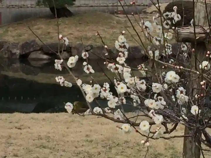 宇佐神宮(大分県)